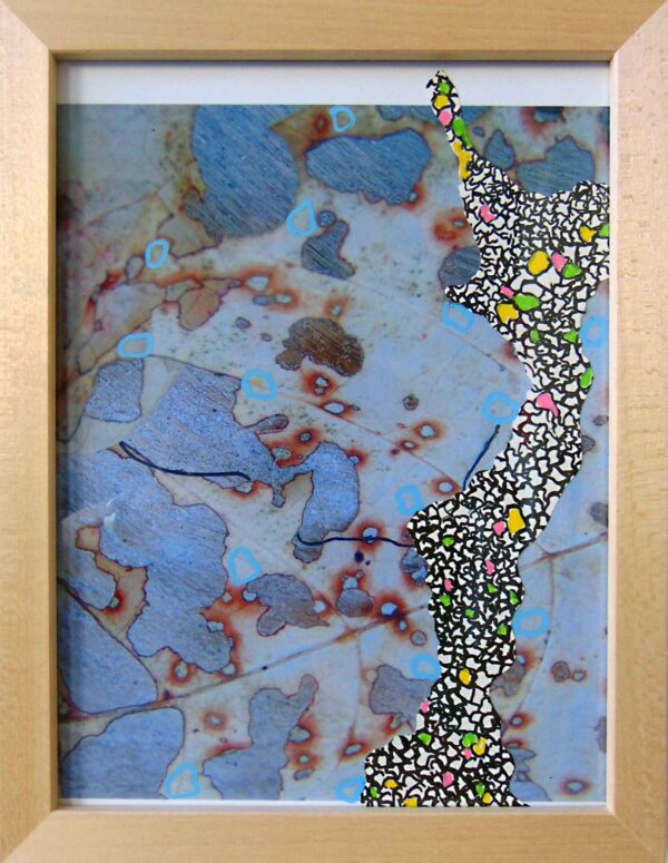 Herbstzeitlos <br> 20 x 30 cm